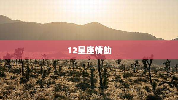 12星座情劫
