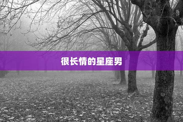 很长情的星座男