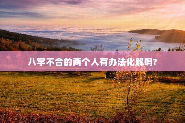 八字不合的两个人有办法化解吗?