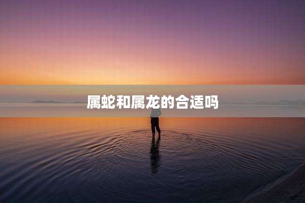 属蛇和属龙的合适吗
