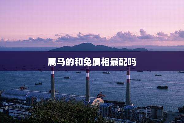 属马的和兔属相最配吗