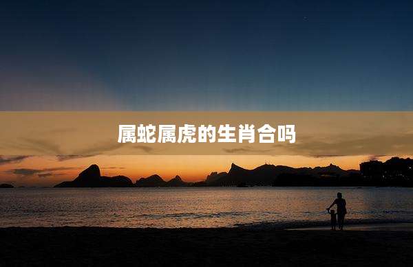 属蛇属虎的生肖合吗
