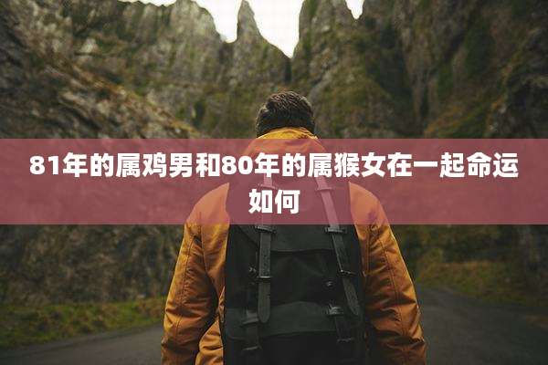 81年的属鸡男和80年的属猴女在一起命运如何