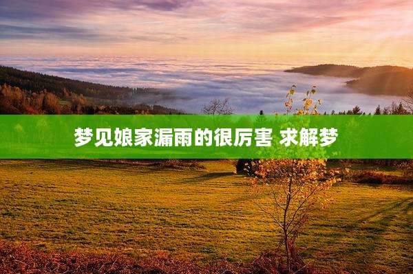 梦见娘家漏雨的很厉害 求解梦