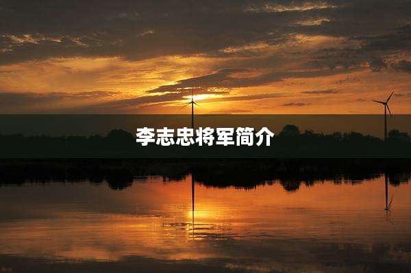 李志忠将军简介