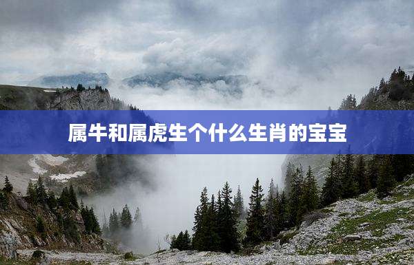 属牛和属虎生个什么生肖的宝宝