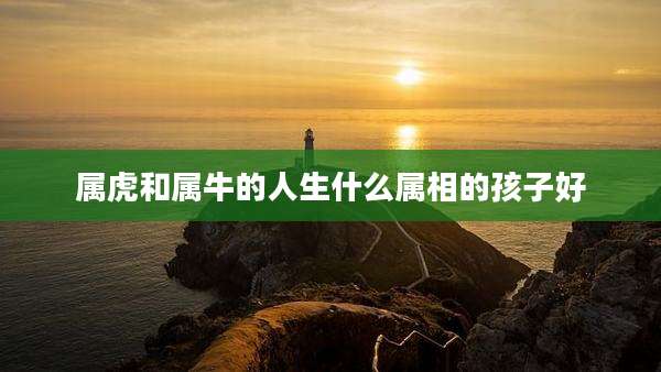 属虎和属牛的人生什么属相的孩子好