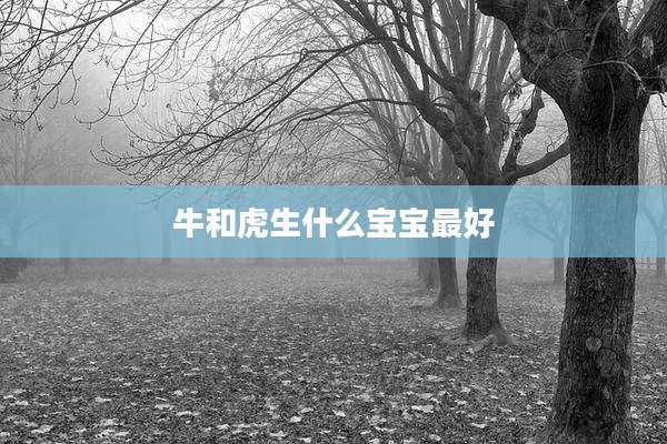 牛和虎生什么宝宝最好
