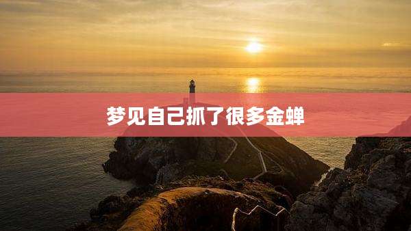 梦见自己抓了很多金蝉