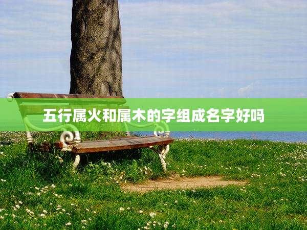 五行属火和属木的字组成名字好吗