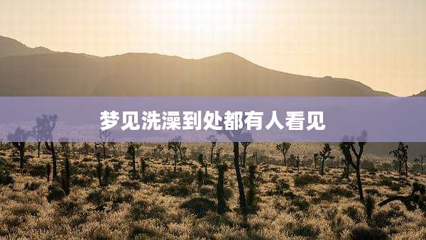 梦见洗澡到处都有人看见