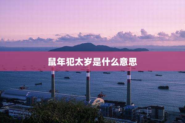鼠年犯太岁是什么意思