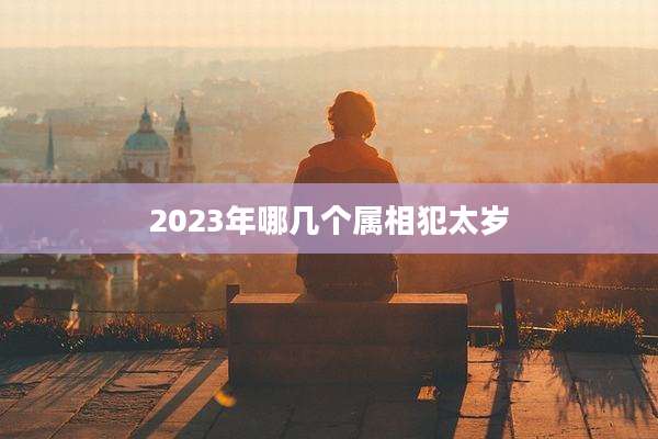 2023年哪几个属相犯太岁