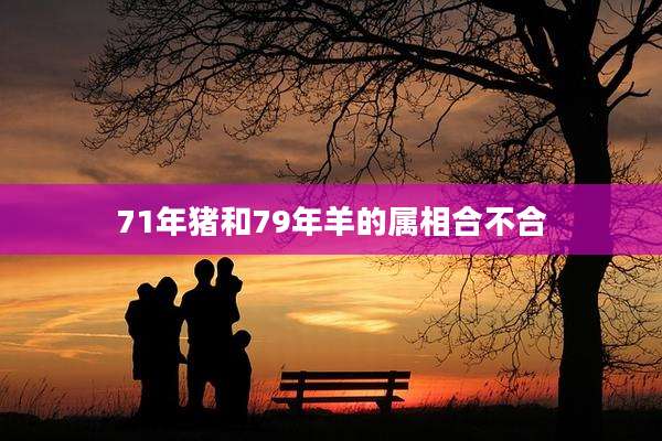 71年猪和79年羊的属相合不合