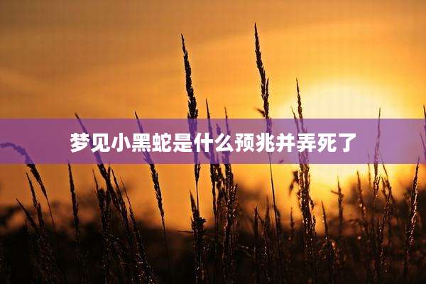 梦见小黑蛇是什么预兆并弄死了