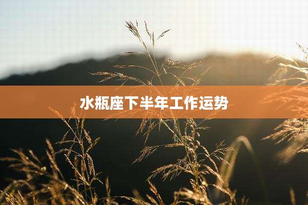 水瓶座下半年工作运势