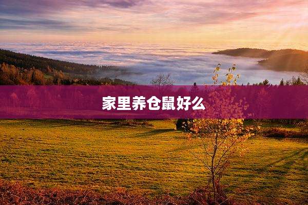 家里养仓鼠好么
