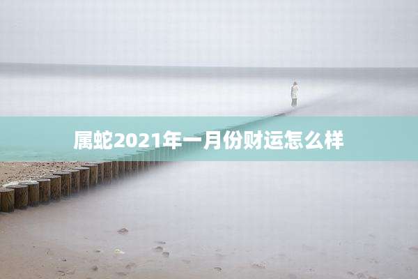 属蛇2021年一月份财运怎么样