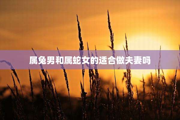 属兔男和属蛇女的适合做夫妻吗