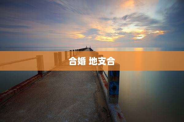 合婚 地支合