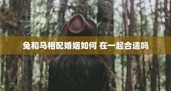 兔和马相配婚姻如何 在一起合适吗