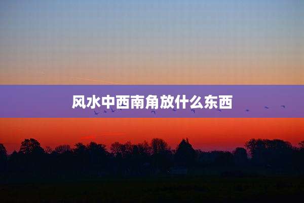 风水中西南角放什么东西