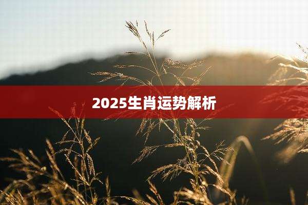 2025生肖运势解析