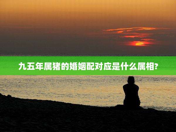 九五年属猪的婚姻配对应是什么属相?