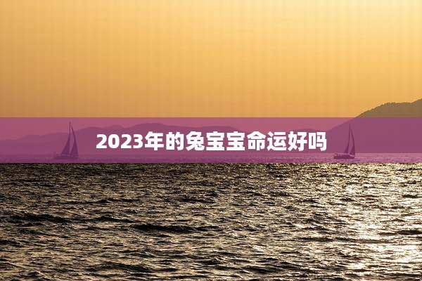 2023年的兔宝宝命运好吗