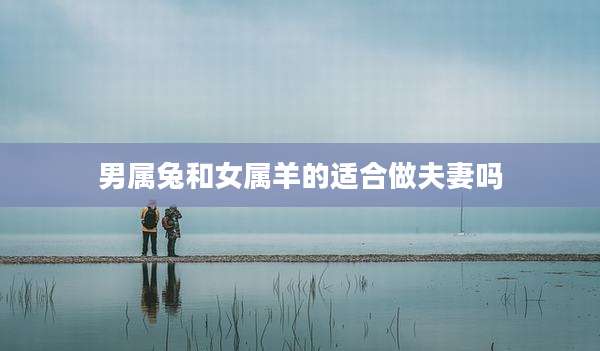 男属兔和女属羊的适合做夫妻吗
