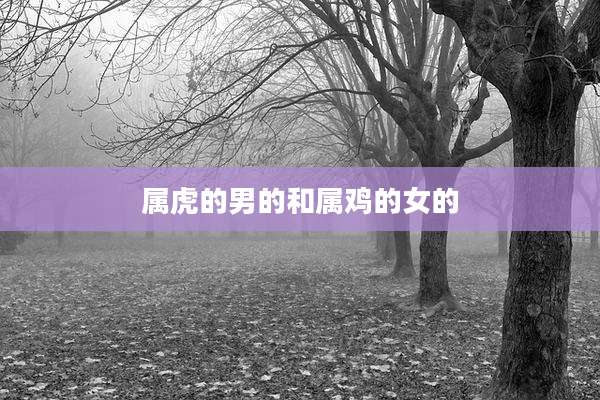 属虎的男的和属鸡的女的