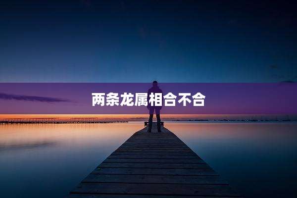 两条龙属相合不合