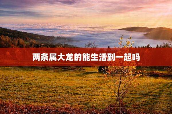 两条属大龙的能生活到一起吗