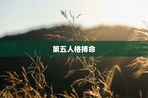 第五人格搏命