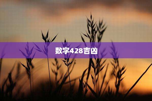 数字428吉凶