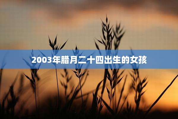 2003年腊月二十四出生的女孩