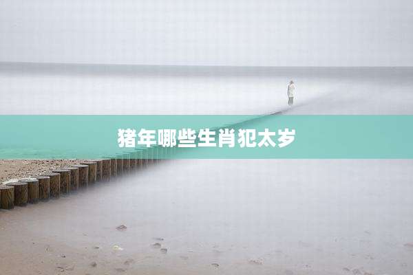 猪年哪些生肖犯太岁