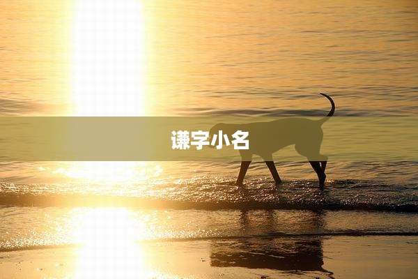 谦字小名