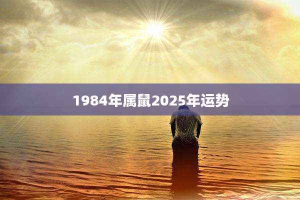 1984年属鼠2025年运势