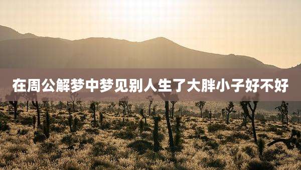 在周公解梦中梦见别人生了大胖小子好不好