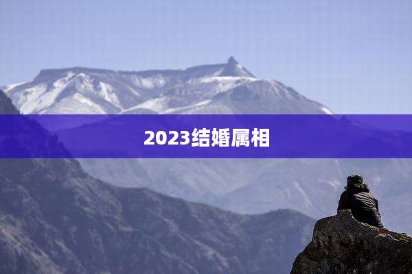 2023结婚属相