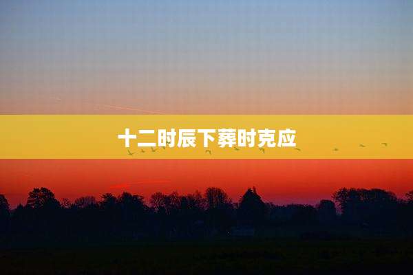 十二时辰下葬时克应