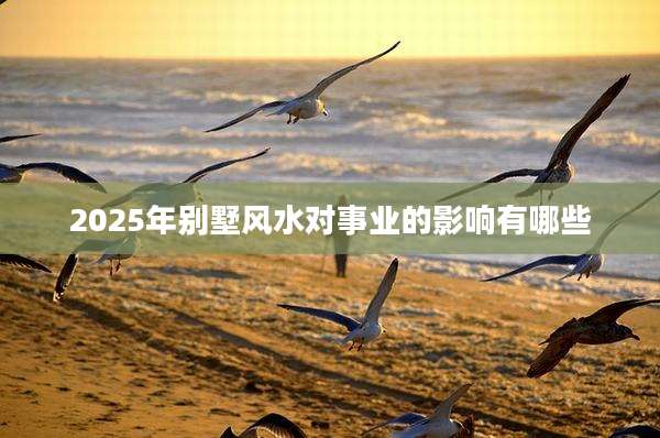 2025年别墅风水对事业的影响有哪些