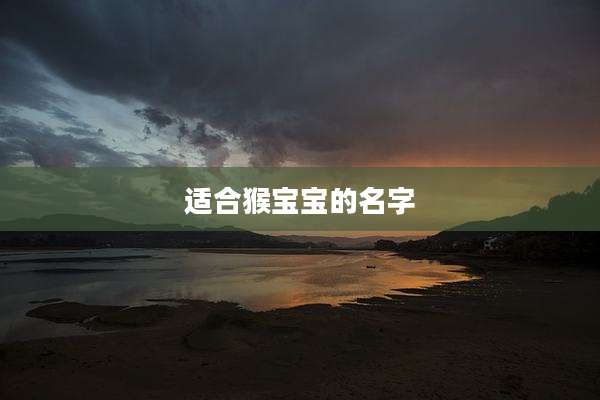 适合猴宝宝的名字