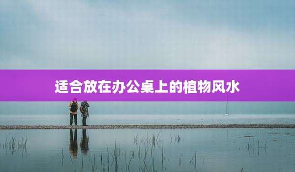 适合放在办公桌上的植物风水