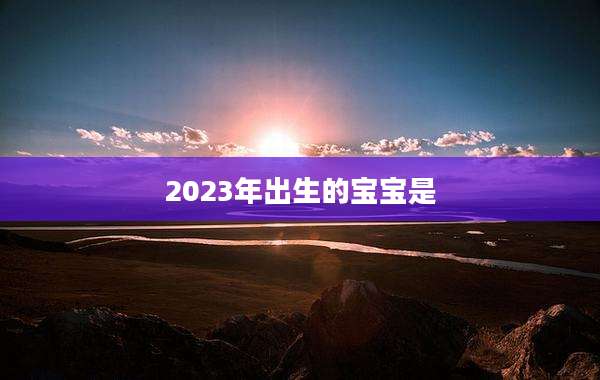 2023年出生的宝宝是