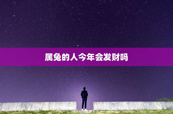 属兔的人今年会发财吗