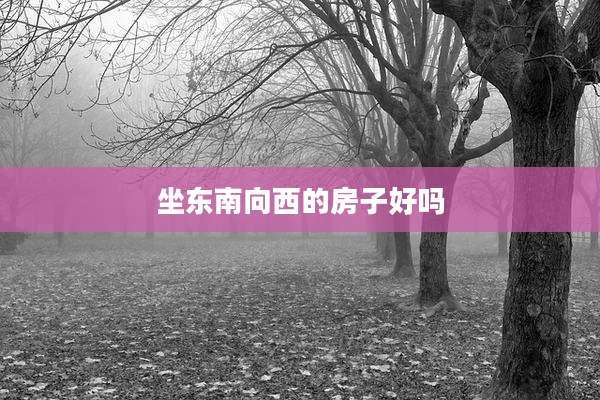 坐东南向西的房子好吗