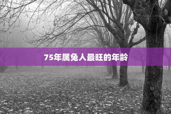 75年属兔人最旺的年龄
