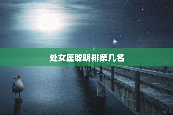 处女座聪明排第几名